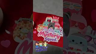 Mystery Squad Squishmallow Blindbag Opening [upl. by Initof]