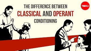 The difference between classical and operant conditioning  Peggy Andover [upl. by Anitsuj]