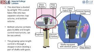 A Soft Continuum Robot with SelfControllable Variable Curvature [upl. by Kirat599]