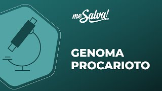 Genoma Procarioto  Biologia Molecular  Me Salva Saúde [upl. by Aysahc]