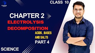 Master ACIDS and BASES in Just 10 Minutes [upl. by Cappello]