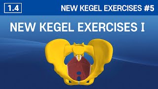 14 New Kegel Exercises Ⅰ  Easy amp Effective Kegel Exercises [upl. by Longtin]