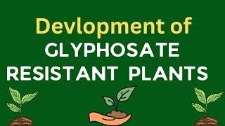 Development of glyphosate resistant plants by transgenesis  Transgenic plants application [upl. by Alemahs651]