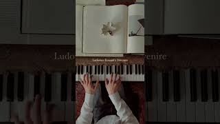 Ludovico Einaudis quotDivenirequot  The best piano performance ever [upl. by Allesiram]