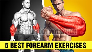 5 Best Exercises for Bigger Forearms [upl. by Soirtimid794]