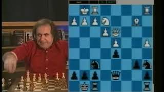 Chess Botvinnik vs Capablanca [upl. by Ayatal119]