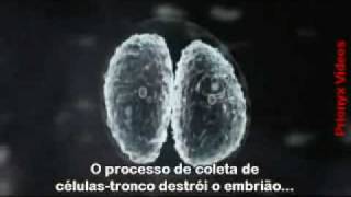 DNA A promessa e o preço  Episódio 2  Parte 5 [upl. by Anurb]