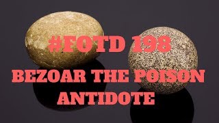 FOTD198 Bezoar The Poison Antidote [upl. by Donegan]