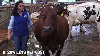 Eight major benefits of ProCROSS crossbreeding 1080p [upl. by Dilahk662]