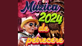 Mixaj  Muzica de Petrecere 2024 Colaj Super Program Sarbe  Hore 2024 Colaj 2024 Program [upl. by Seavir]