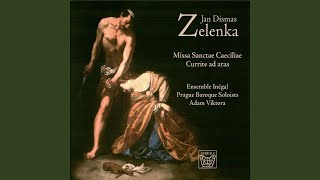 Missa Sanctae Caeciliae ZWV 1 Et incarnatus [upl. by Erlina]