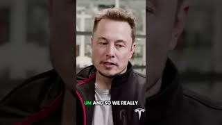 elon musk ais impact on humanity [upl. by Yate801]