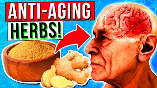 12 Best ANTIAGING Herbs That Helps Protect The Brain amp Memory Loss [upl. by Enialed618]