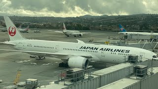 Does Japan Airlines really have the world’s best Economy Class  Vancouver Tokyo  November 2022 [upl. by Lemmie449]