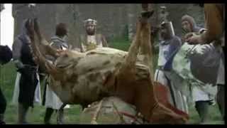 Monty Python e il Sacro Graal  Parte 3 Italiano [upl. by Charlot247]