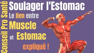 Soulager lESTOMAC Partie 3 par activation musculaire [upl. by Ahsita]