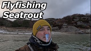 Norway ICE COLD Seatrout Fishing [upl. by Ymot82]