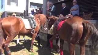 IV Passeio Equestre Anual da quotA Quintinhaquot [upl. by Yras532]