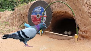 New Idea  Creative DIY Pigeon Trap In Front Of Hole  Awesome Method Bird Trap [upl. by Maiah]