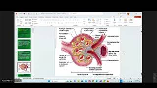 Introduction To Nephrology [upl. by Zoldi883]