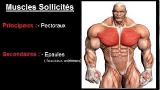 Exercice musculation Pectoraux  quot Écarté incliné haltères quot [upl. by Romy]