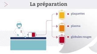 EFS  Le parcours de la poche de sang [upl. by Airal]