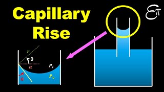 🔴 Capillary Rise  Surface Tension  for Class 11 in HINDI [upl. by Dowell]