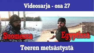 Osa 27  Teeren metsästystä Suomessa ja Egyptissä  kausi 20192020 [upl. by Eibur523]