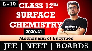 Surface Chemistry  Mechanism of Enzyme Catalysis  L  10  JEE  NEET  BOARDS [upl. by Luap]