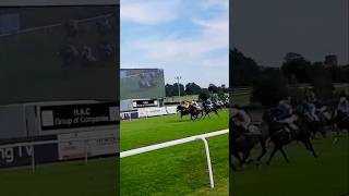 Leicester enjoying horse racecourse indianvlogger shortsvideoviral 2uk [upl. by Ayad208]