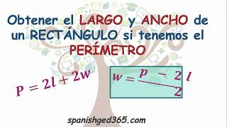 Cómo obtener el largo y ancho de un rectángulo [upl. by Cargian]