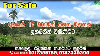 17 Acres Cultivated Estate for Sale  වත්ත විකිණීමට  Contact  0717385765 0742330390 LAK ADS [upl. by Alis934]