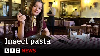 Italian food Insect pasta divides diners  BBC News [upl. by Annitsirhc]