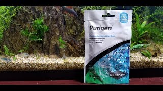 Does Seachem Purigen Work Purigen vs Black Beard Algae PART 1 [upl. by Filler]