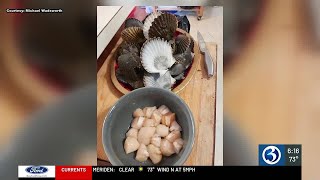 Decision to be made on proposed scallop season [upl. by Dodds618]