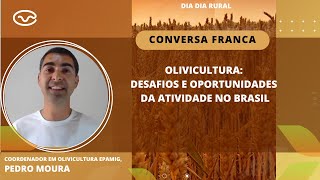 Olivicultura Desafios e oportunidades da atividade no Brasil [upl. by Ceil]