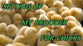 How To Pasture Raise Chickens In Tractors  From Brooder To Freezer [upl. by Sabec]