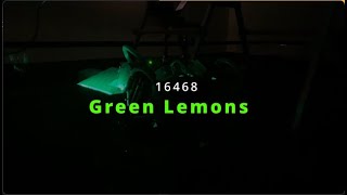 FTC 16468 Green Lemons Robot Reveal [upl. by Fidelas]