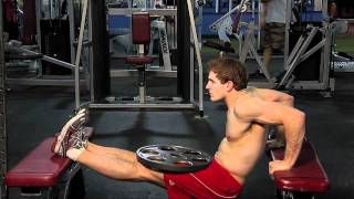 Weighted Bench Dip [upl. by Zane]