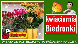 BIEDRONKA  Oferta Promocyjna od Poniedziałku 02102023  Kwiaciarnia Biedronki  Tanie Kwiaty [upl. by Kelda]