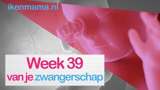 39 weken zwanger  ikenmamanl [upl. by Barbara-Anne209]