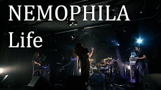 NEMOPHILA  Life Official Live Video [upl. by Euqinay976]