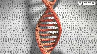 Understanding Genetic Disorders Types Diagnosis Treatment [upl. by Mansoor251]