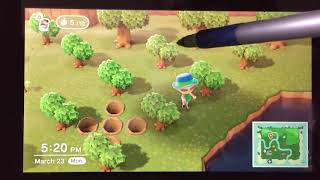 Animal Crossing New Horizons  Planning an Orchard Grove  GET MORE BELLS [upl. by Annadroj]