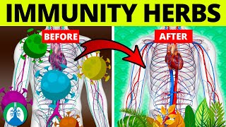 Top 5 Herbs to Kill Viruses and Boost Your Immune System [upl. by Nhguaved663]