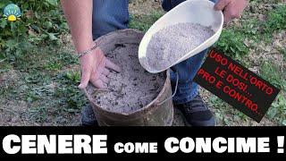 CENERE come CONCIME 3 Modi per usarla nellORTO in giardino e come trattamento prova pratica [upl. by Epilef]