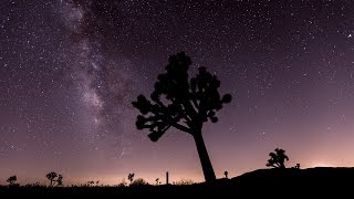 60 Seconds Timelapse of the Perseid Meteor Shower in Joshua Tree Park [upl. by Lorrimer676]