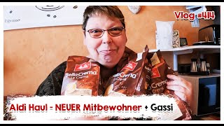 🏡 Daily Vlog 415  ALDI Nord HAUL ein NEUER Mitbewohner UND Gassirunde 🏡 [upl. by Tessy]