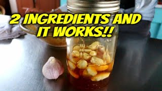 How to make Fermented Honey Garlic  Immune System Booster [upl. by Vere]