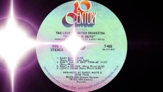 Barry White  Loves Theme 20th Century Records 1973 [upl. by Saundra]